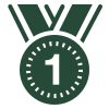 Since 1990 Icon