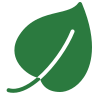 leaf icon