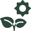 Growth Icon