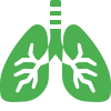 Chest & Pulmonology