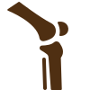 Orthopedics