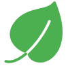 Leaf Decoration