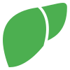 Liver Fat Burning Supplement: How HepatoBurn Supports Healthy Weight Loss 7 Choline Icon