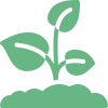 Plant Care