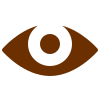 Vision
