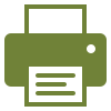 Custom Printing Icon