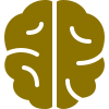 brain image