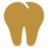 Dental and vision insurance