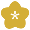 Haldi icon
