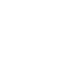 Delivery Icon