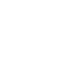 ویزیت