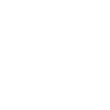 Icône sécurité
