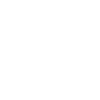 Mortgage Fraud Icon