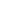 Litigation Icon