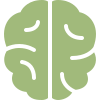 Brain