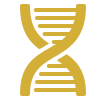 DNA