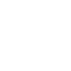 Cricket training ball