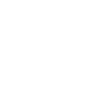 Min Van
