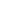 Custom Reports Icon