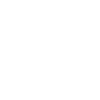 Purchase Loan