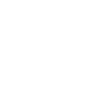 Asset Verification Icon