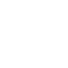 Security Icon