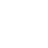 Branding Icon