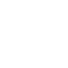 Mission Icon
