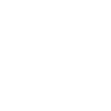 house icon