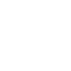 HTML5 Icon
