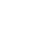 Bike Icon