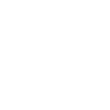 AP English Language and Composition icon