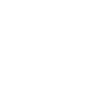 Project Management Icon