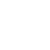 Money Icon