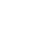 Firestick