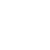CV Icon