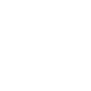 Professionelle Umzugsdienstleistungen Icon