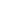 Fast Shipping