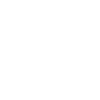 Original Quality Parts Icon