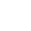 Excellence Icon