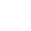 Icon Dubă Detailing