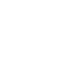 Video Call Icon