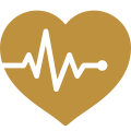 Health insurance icon