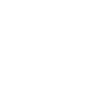 Description of the Image