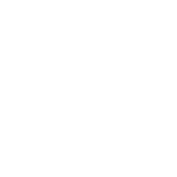 rifle