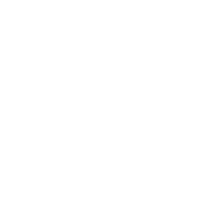 Delfín