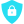 Shield Icon