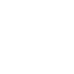 linkedin-circled--v1