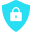 Shield Icon