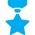 medal icon